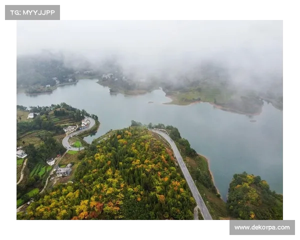 重庆晨雾如轻纱飘渺山间展现迷人仙境般的自然风光 重庆晨雾如轻纱飘渺山间展现迷人仙境般的自然风光